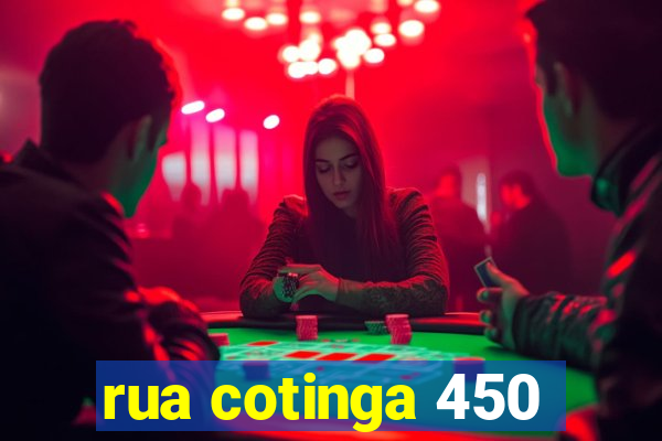 rua cotinga 450