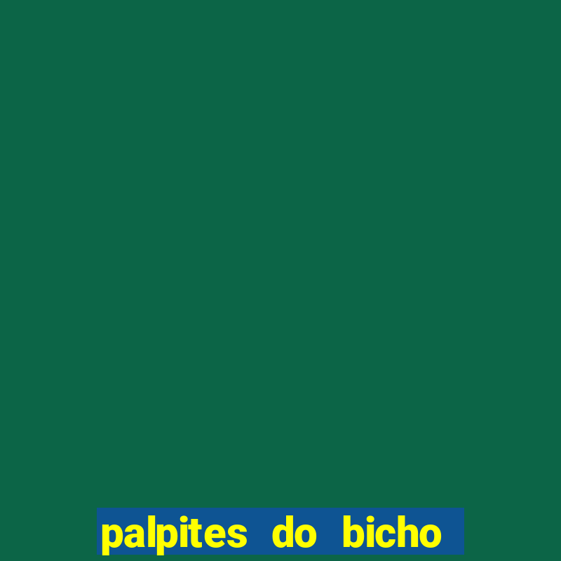 palpites do bicho no celular