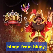 bingo from bluey