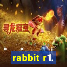 rabbit r1.