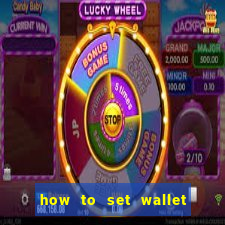 how to set wallet password in bingo plus