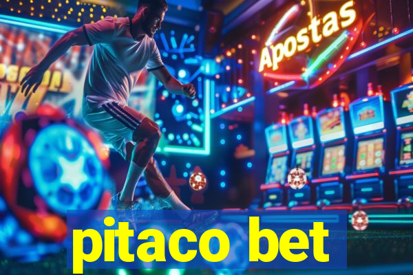 pitaco bet