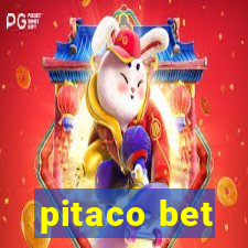 pitaco bet