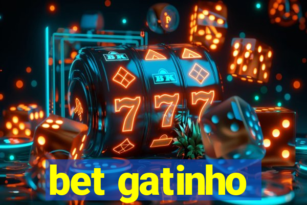 bet gatinho