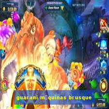 guarani m谩quinas brusque