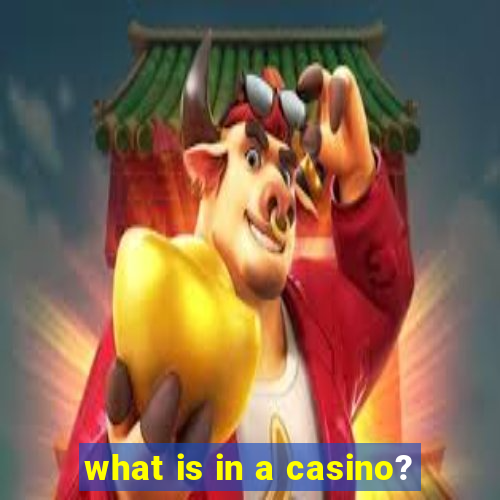 what is in a casino?