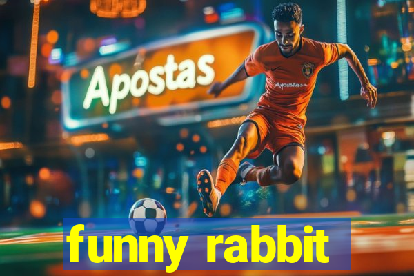 funny rabbit