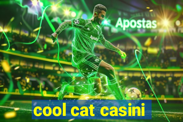 cool cat casini