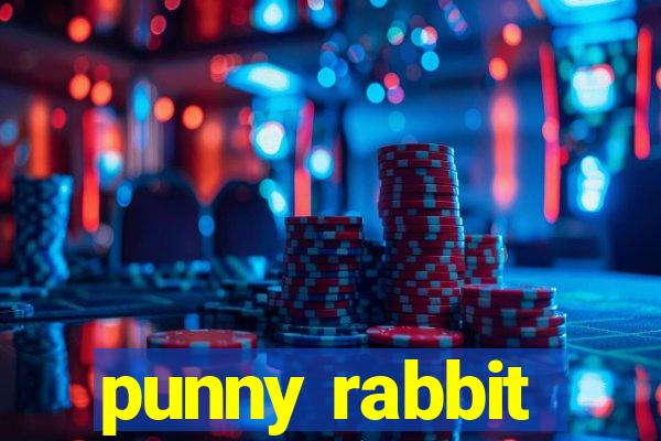 punny rabbit