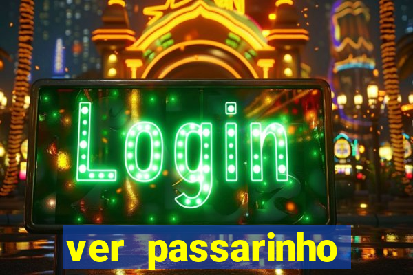 ver passarinho morto significado