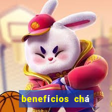 benefícios chá dente de leão