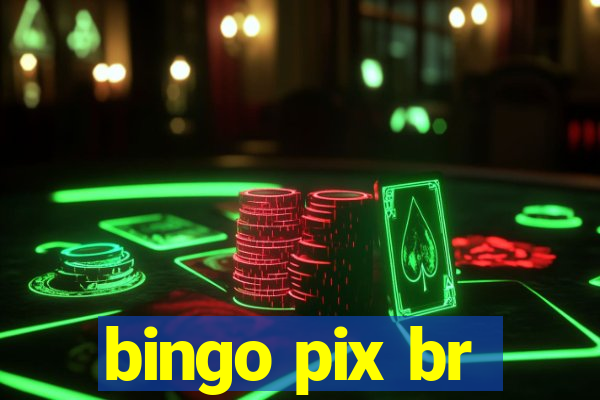 bingo pix br