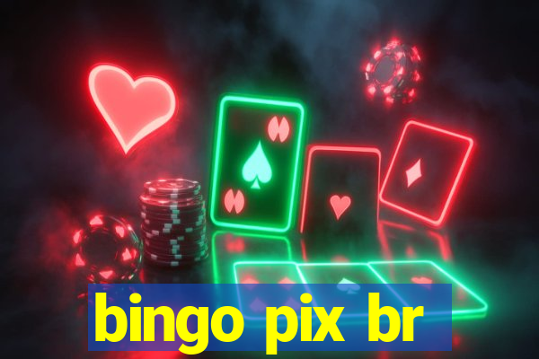 bingo pix br