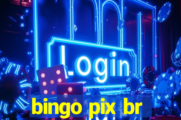 bingo pix br