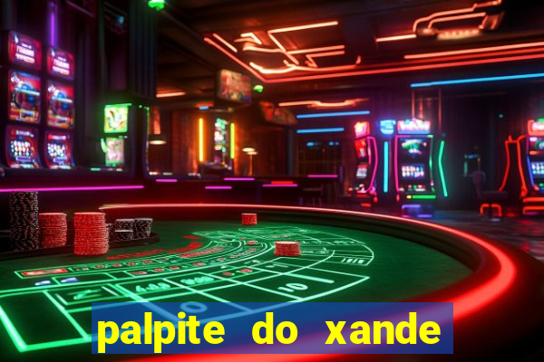 palpite do xande de hoje