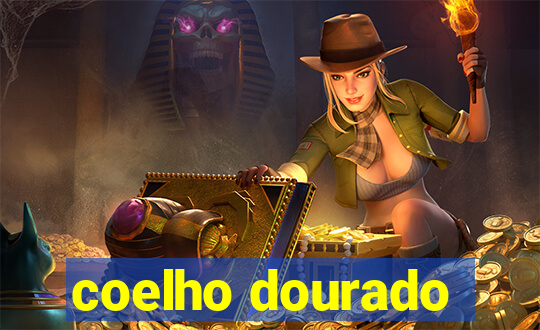 coelho dourado