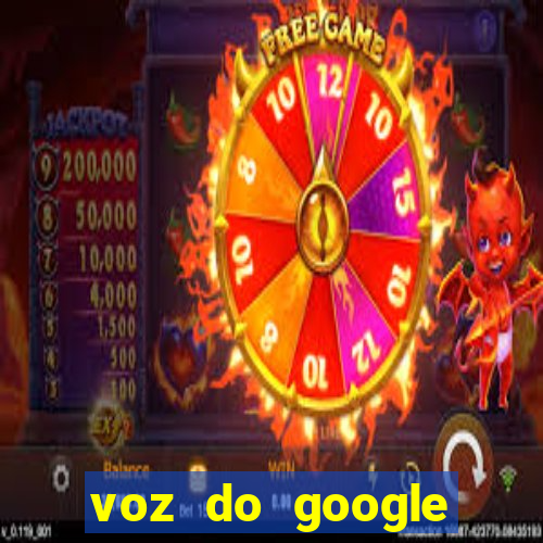 voz do google tradutor homem