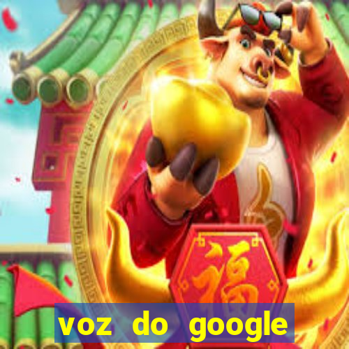 voz do google tradutor homem