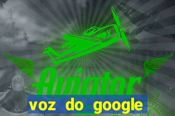 voz do google tradutor homem