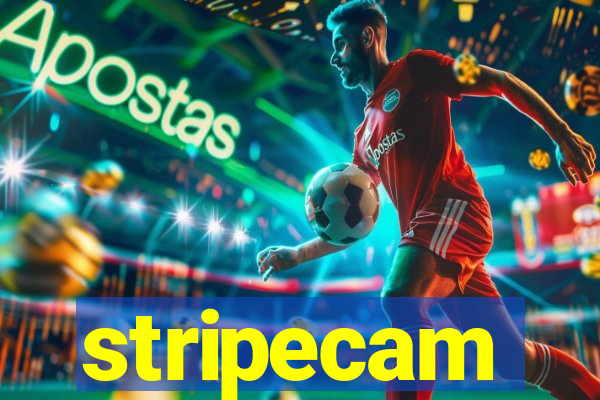 stripecam