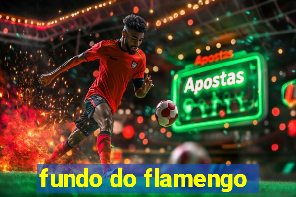 fundo do flamengo