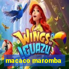 macaco maromba