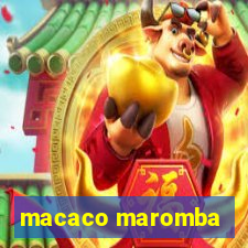 macaco maromba