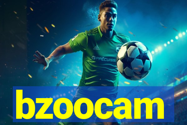 bzoocam