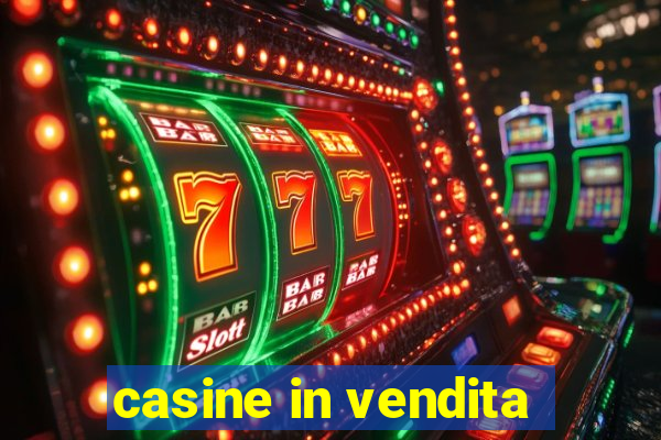 casine in vendita