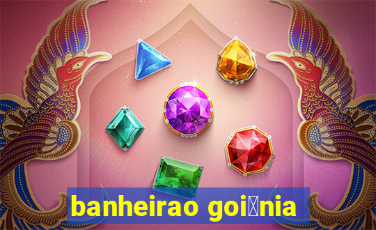 banheirao goi芒nia