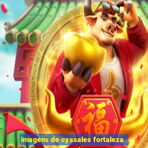 imagens de cyssales fortaleza