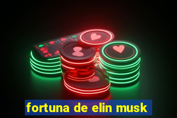 fortuna de elin musk