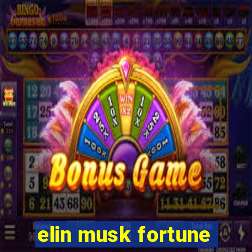 elin musk fortune