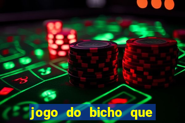 jogo do bicho que da dinheiro