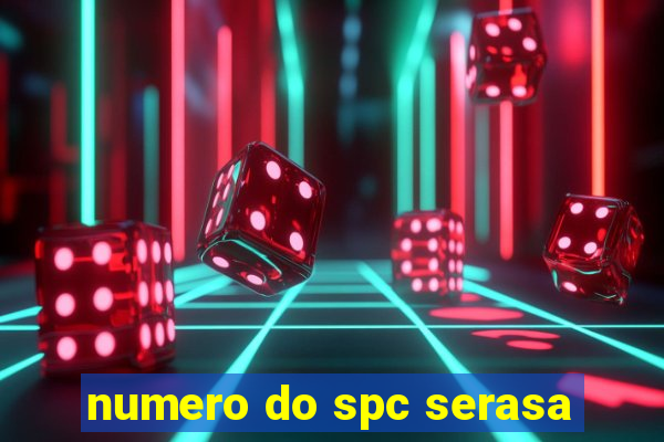 numero do spc serasa