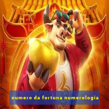 numero da fortuna numerologia