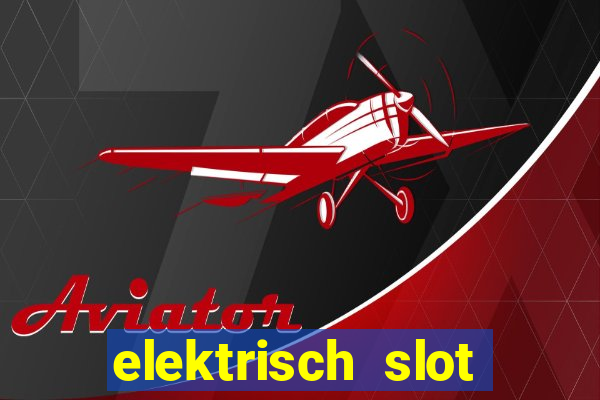 elektrisch slot houten poort