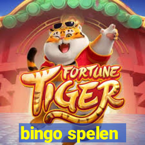 bingo spelen