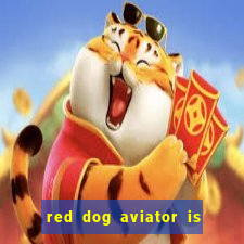 red dog aviator is real or fake