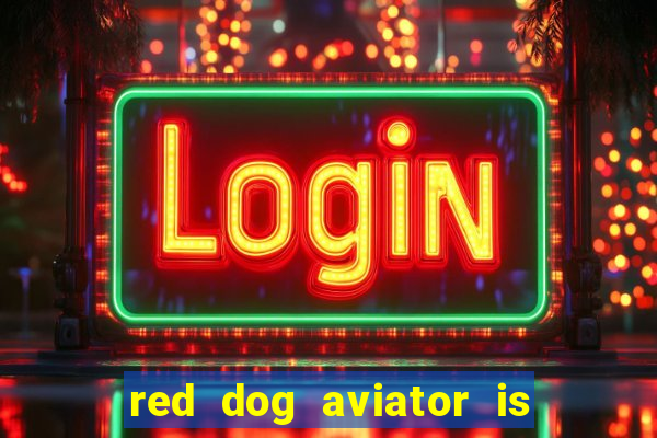 red dog aviator is real or fake