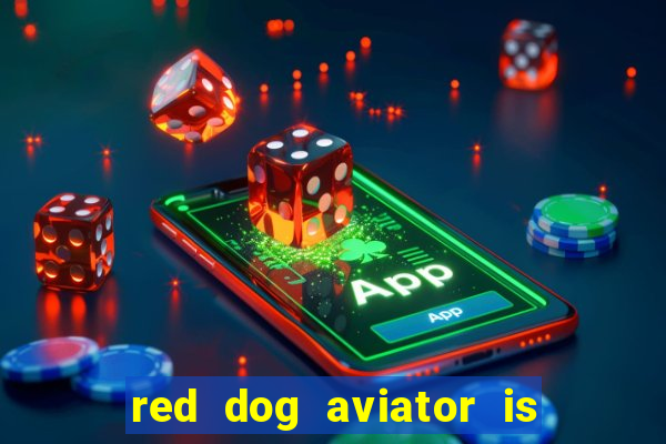 red dog aviator is real or fake