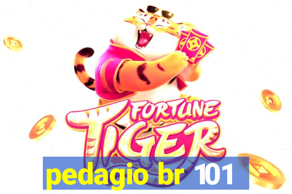 pedagio br 101