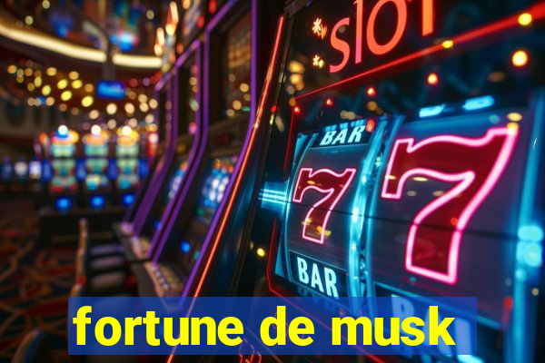 fortune de musk