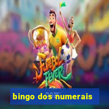 bingo dos numerais