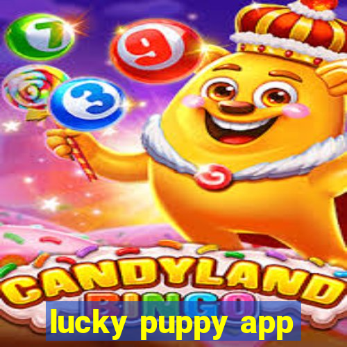 lucky puppy app