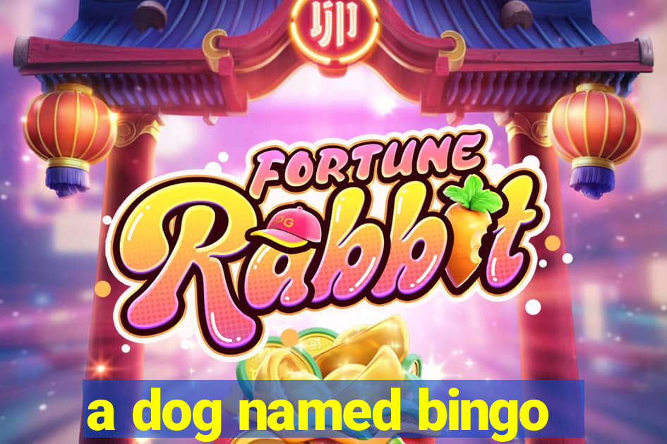 a dog named bingo