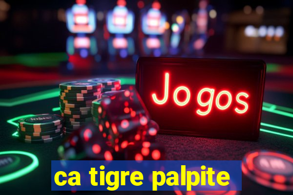 ca tigre palpite