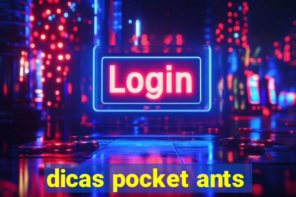 dicas pocket ants