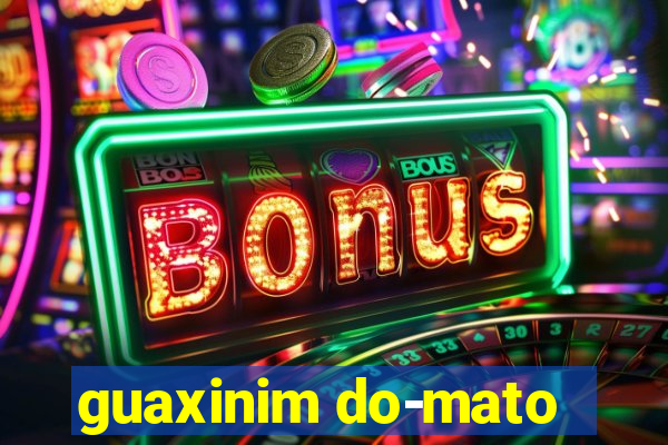 guaxinim do-mato