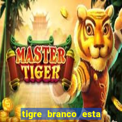 tigre branco esta em extinção